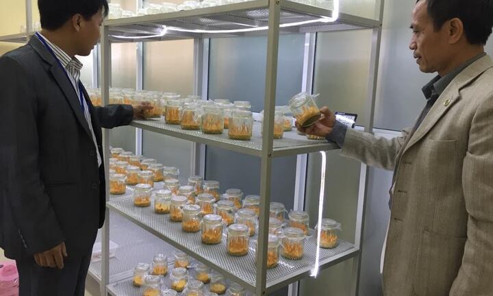 Đào tạo ngành công nghệ môi trường: Từ nhà trường đến thị trường