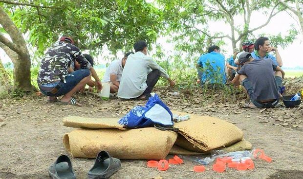 Cảnh sát băng qua cánh đồng, bắt quả tang 15 người đang đá gà ăn tiền