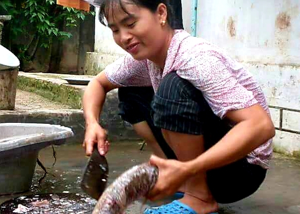 Bệnh nhân chia sẻ cách chữa khỏi bệnh đại tràng đơn giản, ít tốn kém