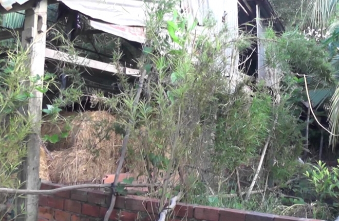 Tin tức pháp luật mới nhất ngày 14/5/2018