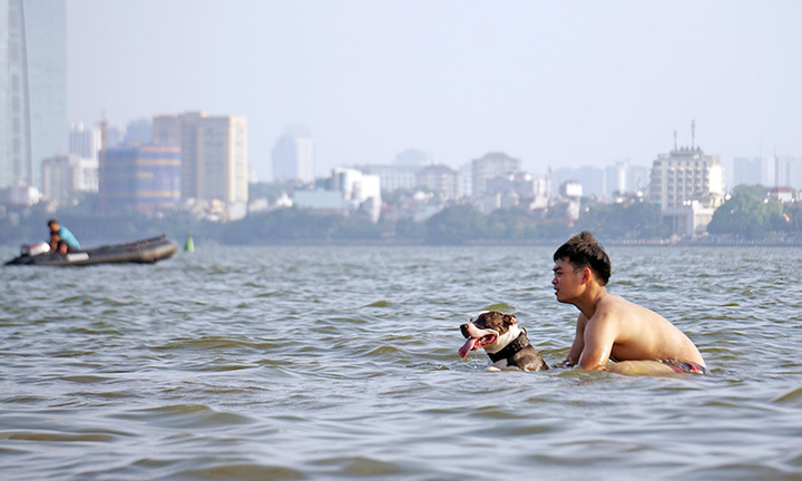 Người Hà Nội phớt lờ biển cấm, nguy hiểm, bệnh tật khi bơi cùng thú cưng ở Hồ Tây