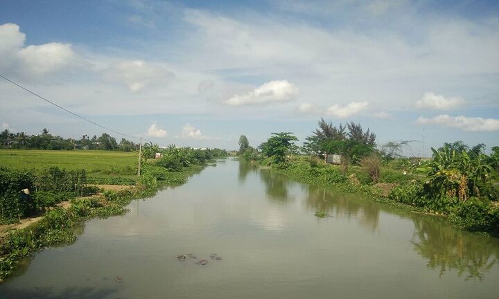 Nghi vấn cá sấu