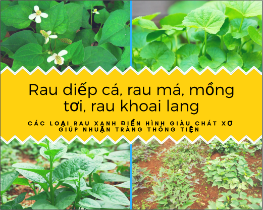 Người bị táo bón nên ăn gì và không nên ăn gì?
