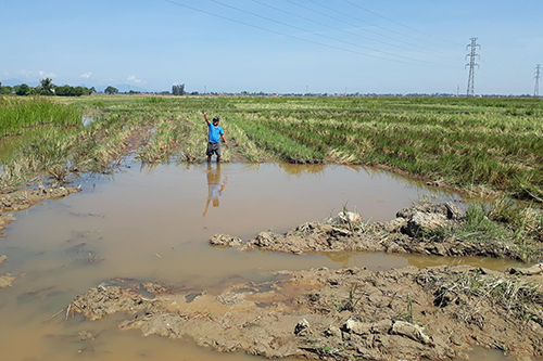 Đi mò ốc, bé trai lớp 3 tử vong thương tâm dưới hố nước công trình