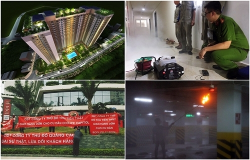 Đà Nẵng: Rà soát tour du lịch 0 đồng