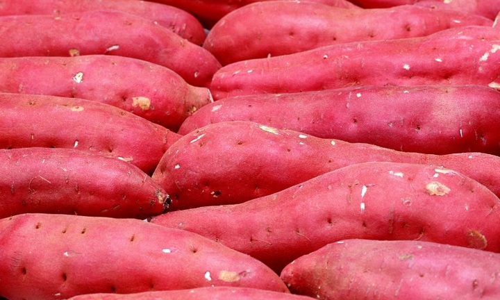 Tổng hợp các cách chữa táo bón bằng khoai lang vô cùng hiệu quả