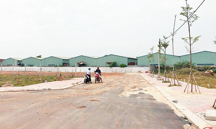 Rắc rối tách thửa, chuyển mục đích sử dụng đất tại TP.HCM