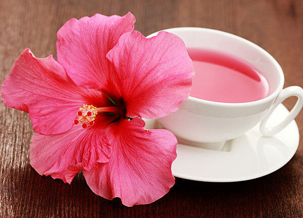 10 thảo dược đốt cháy mỡ bụng