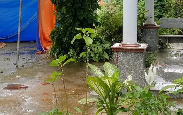 Đi xem bóng đá về, tá hỏa phát hiện nam thanh niên chết trước nhà