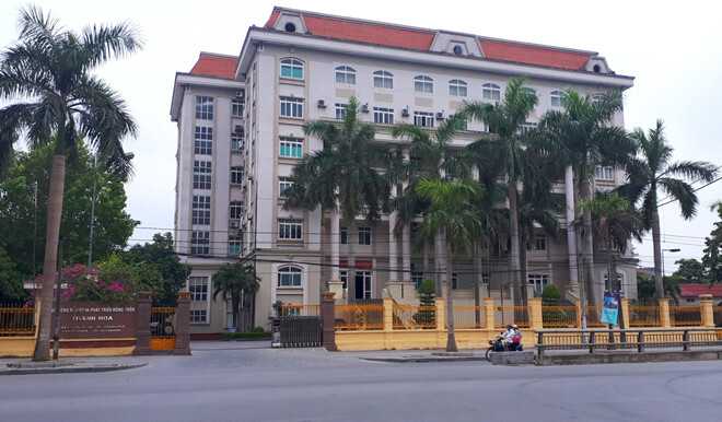 Vụ Giám đốc bổ nhiệm