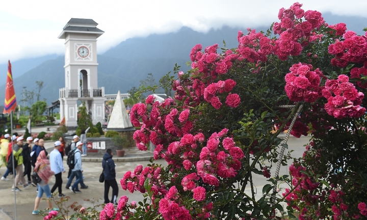 Sa Pa - điểm trốn nóng khiến dân xê dịch phát cuồng