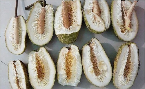 Anh chàng đen đủi mua 5 quả mít: Không mùi, không múi, không hạt, chỉ vẻn vẹn xơ