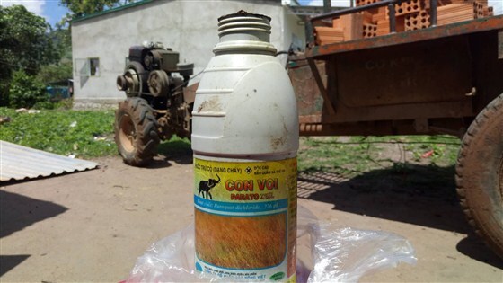 Đau lòng thanh niên 17 tuổi uống thuốc cỏ tự tử sau khi đánh người