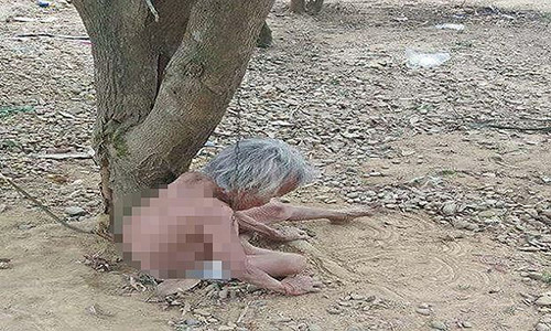 Thông tin bất ngờ vụ cụ ông xích vợ cởi trần vào gốc cây