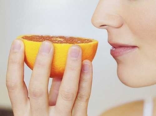 Hé lộ 8 loại thực phẩm giúp chống say xe hiệu quả mà không cần uống thuốc