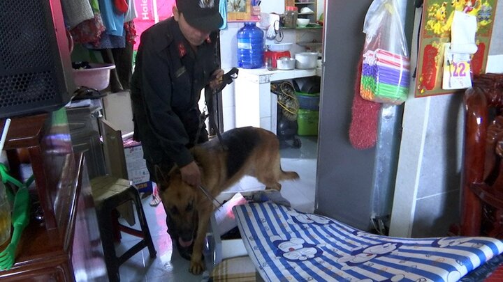 Phá đường dây ma túy của vợ chồng nữ quái Cần Thơ