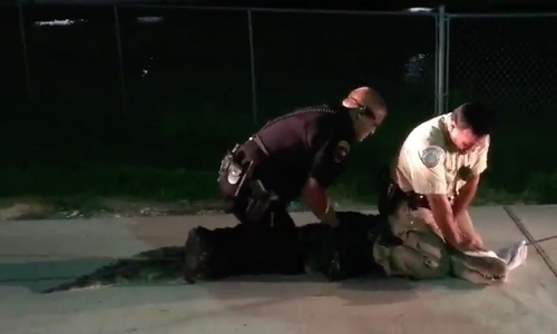 Video: Cảnh sát khống chế cá sấu dài 2,4m trong bãi đỗ xe