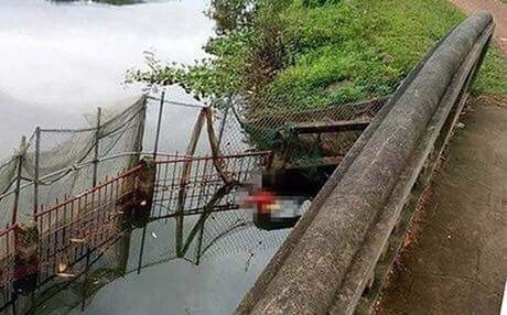 Hà Nội: Phát hiện thi thể đôi nam nữ nằm gần nhau dưới hồ cá