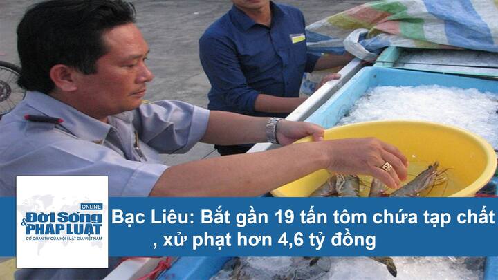 Bạc Liêu: Bắt gần 19 tấn tôm chứa tạp chất, xử phạt hơn 4,6 tỷ đồng