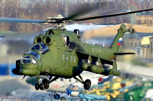 Chùm ảnh: Chiêm ngưỡng 