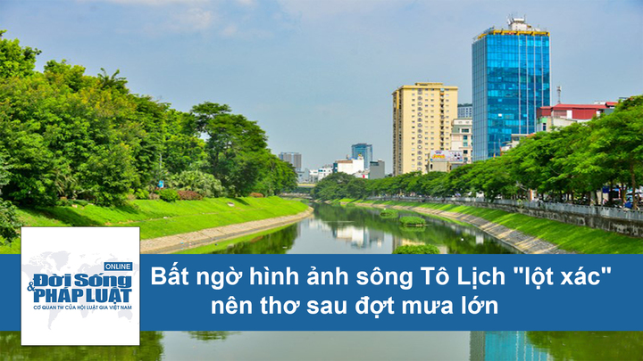 Video: Bất ngờ sông Tô Lịch 