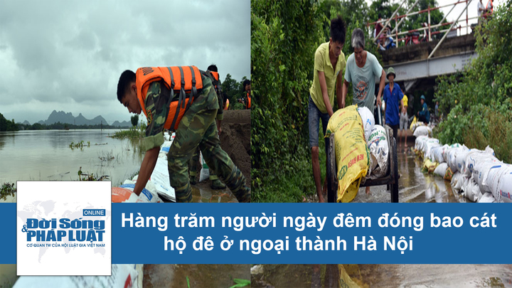 Hàng trăm người ngày đêm đóng bao cát hộ đê ở ngoại thành Hà Nội