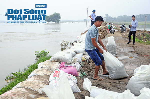 Dân Chương Mỹ mất ngủ cả đêm vì lo đê vỡ