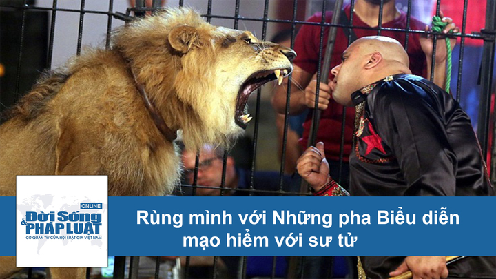 Video rợn người những pha biểu diễn 