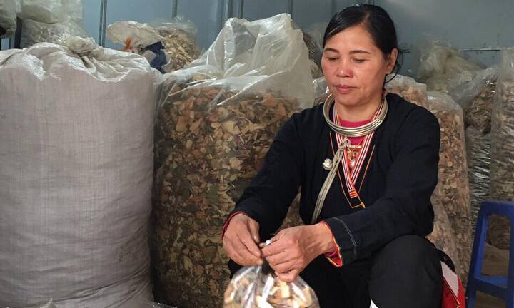  “Tuyệt chiêu” chữa đau nhức  xương khớp: thoái hóa, thoát vị đĩa đệm… của vị lương y núi Tản