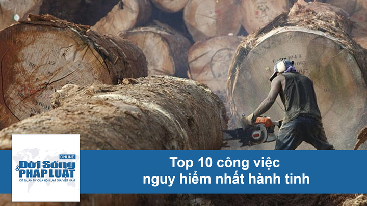 Clips: Cận cảnh 10 công việc nguy hiểm bậc nhất hành tinh