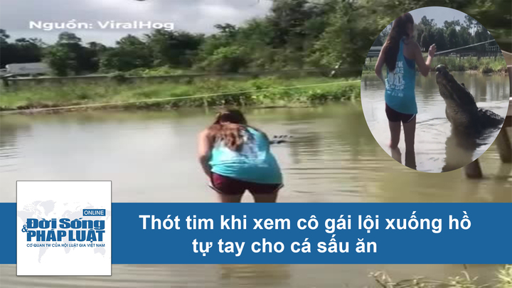 Clip: Thót tim khi xem cô gái lội xuống hồ cho cá sấu ăn