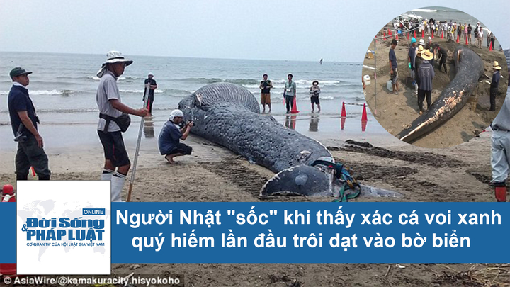 Người Nhật