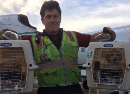 Chân dung bất ngờ về nghi phạm cướp máy bay, nhào lộn rồi tự sát tại Mỹ 