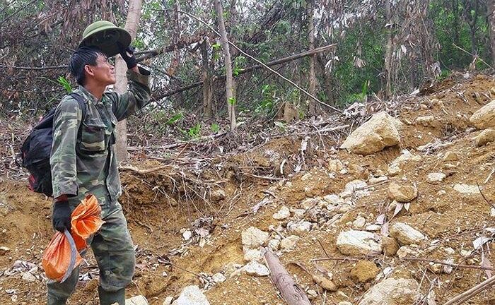 Săn loài ong “đốt thần ngã ngửa”, nghề trêu ngươi “thần chết”