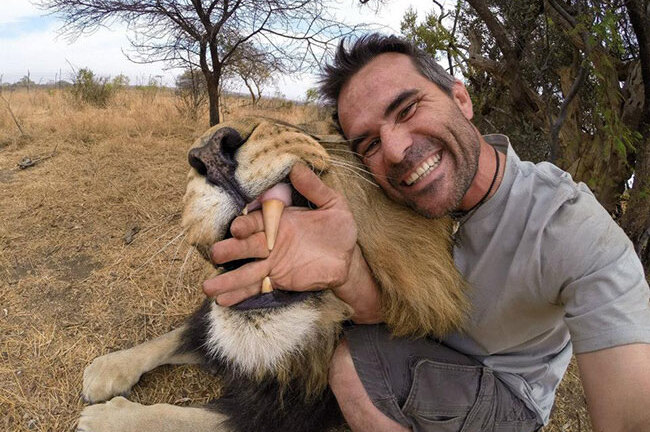 Video: Thú vị khoảnh khắc sư tử làm nũng không khác nào mèo cảnh