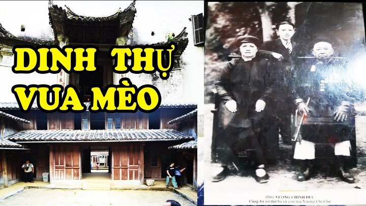 Clip: Cận cảnh dinh thự rộng hơn 1000 m2, trị giá hàng  trăm tỉ đồng của “Vua Mèo”