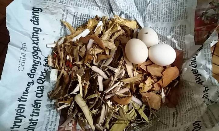 Thực hư tin đồn nuôi “con ma thuốc độc” hại người ở Quảng Bình