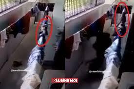 Video: Hoảng hồn rắn hổ mang ẩn mình trên dây phơi tấn công người đàn ông 