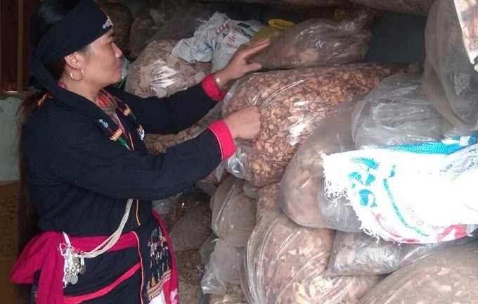 Lương y Lý Thị Thanh – vị cứu tinh của hàng ngàn bệnh nhân trĩ