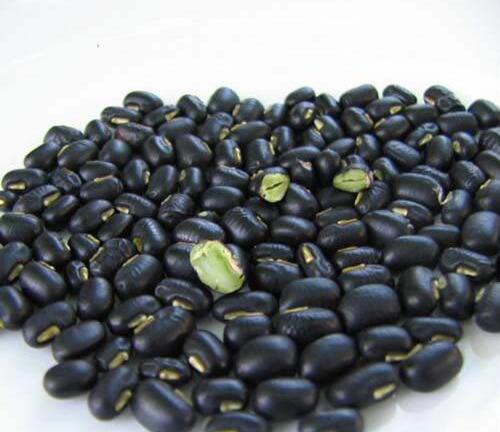 Ăn những thực phẩm này vừa khỏe lại không sợ béo