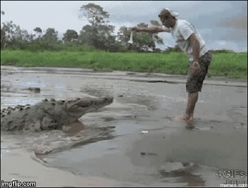 Clip: Chủ quan khi cho cá sấu ăn, nam thanh niên nhận cái kết đau đớn