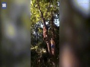Video: Cô gái mặc bikini ngã 