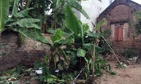 Bắt người đàn ông làm thiếu nữ tâm thần có thai khi đi mua chuối