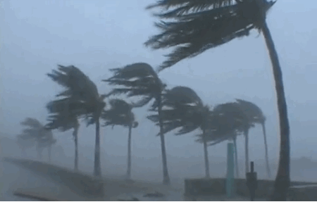 Chiều nay 15/9, siêu bão Mangkhut giật cấp 17 sẽ tiến vào Biển Đông 