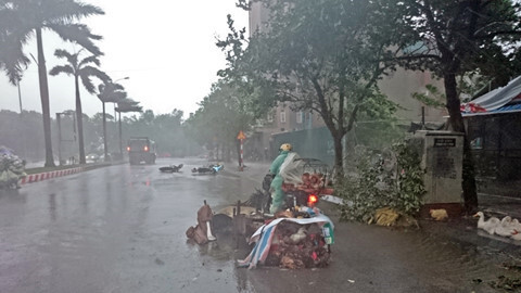 Ứng phó khẩn cấp bão số 6 và mưa lũ