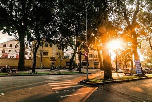 Dự báo thời tiết ngày 8/10: Hà Nội sáng sớm có sương mù, trời nắng