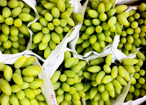 Cận cảnh loại nho ngón tay Nhật Bản có giá 1,5 triệu đồng/kg
