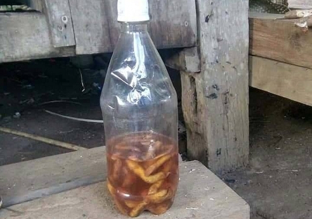 Chai rượu chứa độc tố cây lá ngón cướp mạng sống 2 chú cháu ở Quảng Nam
