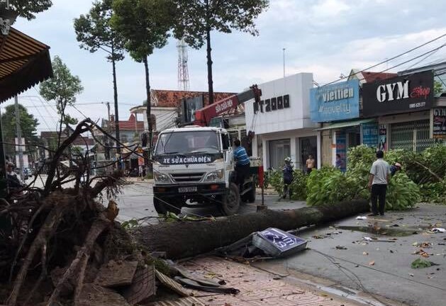 Đồng Nai: Mưa lớn kèm lốc xoáy khiến hàng loạt cây xanh, cột điện gãy đổ