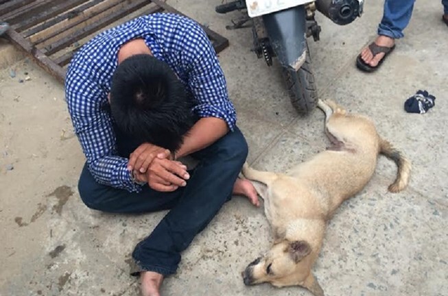 Tin tức pháp luật mới nhất ngày 23/10/2018: Trộm chó và người dân “hỗn chiến”, 5 người thương vong